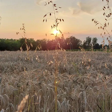 Le Clos Des Roses 3* Parcay-les-Pins