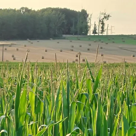 Le Clos Des Roses 3*