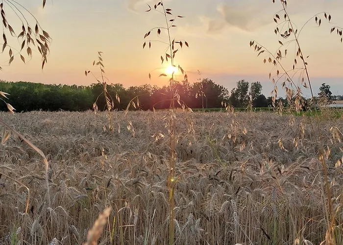 Le Clos Des Roses 3* Parcay-les-Pins