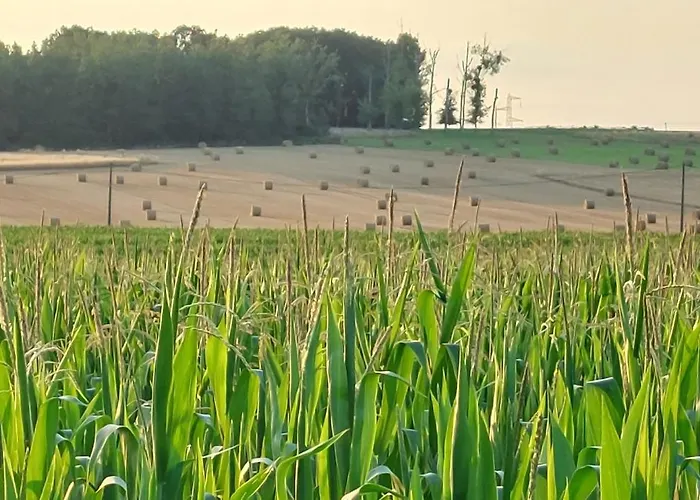 Le Clos Des Roses 3*